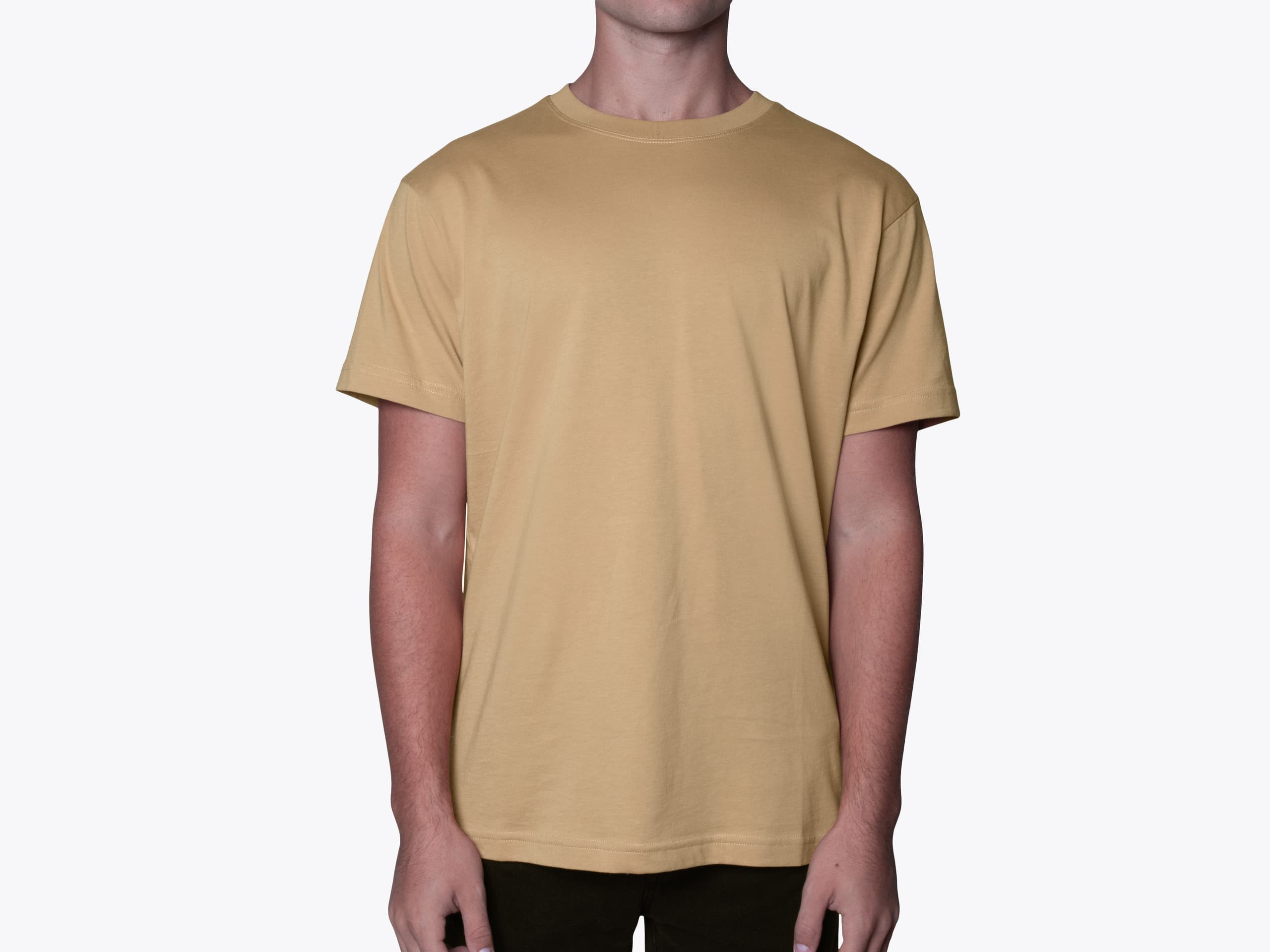 Original Favorites SUPTEE American Grown Supima Cotton T-Shirt in Tan (model:male, size:medium, view:front)
